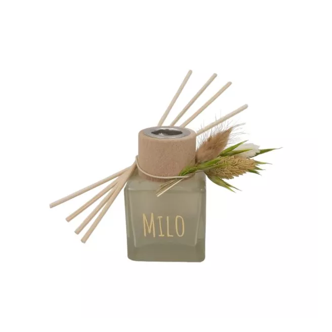 Mini diffuseur de parfum d'intérieur