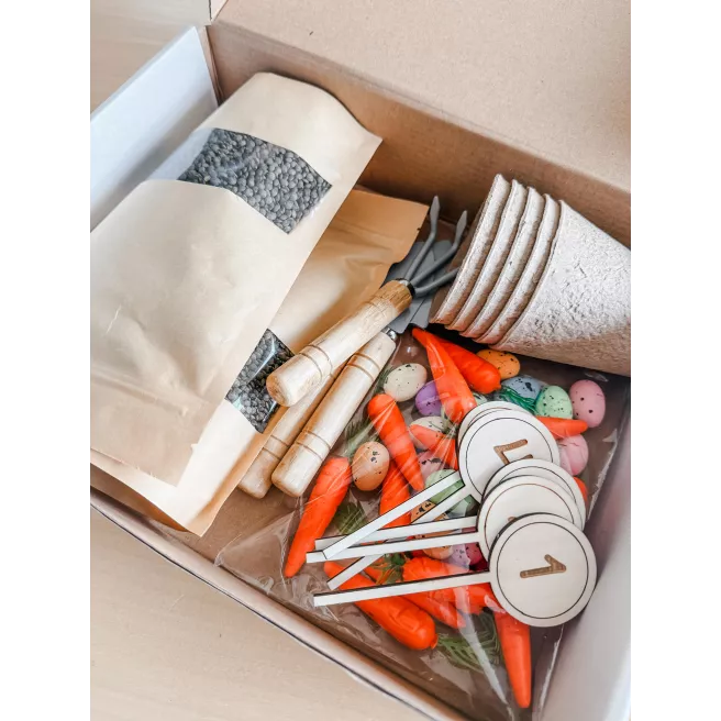 Kit Sensoriel Carottes - Apprentissage de 1 à 5 Kit Sensoriel Carottes - Apprentissage de 1 à 5