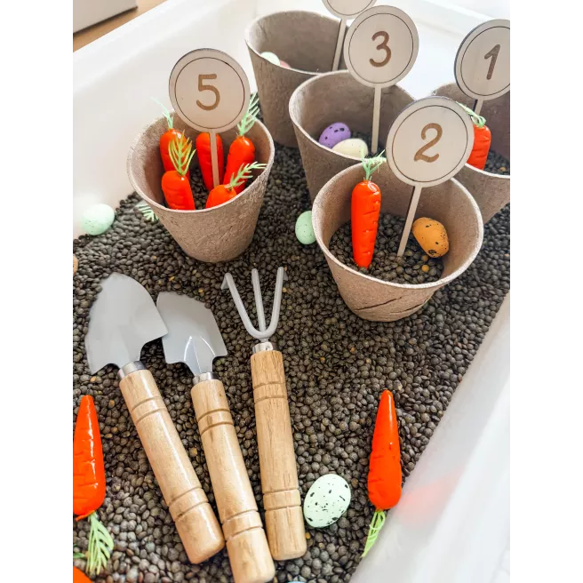 Kit Sensoriel Carottes - Apprentissage de 1 à 5 Kit Sensoriel Carottes - Apprentissage de 1 à 5