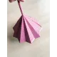 Etoile sensorielle