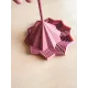 Etoile sensorielle