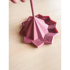 Etoile sensorielle Etoile sensorielle