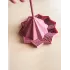 Etoile sensorielle