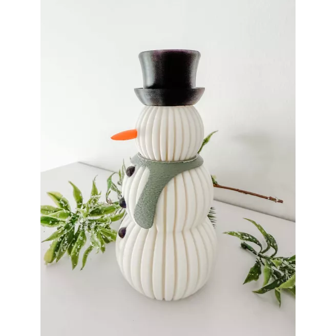 Bonhomme de Neige lumineux