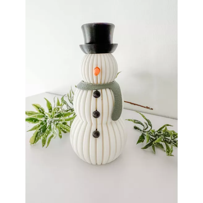 Bonhomme de Neige lumineux