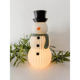 Bonhomme de Neige lumineux
