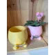 Jardiniere Smiley avec livre