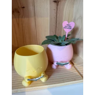 Jardiniere Smiley avec livre