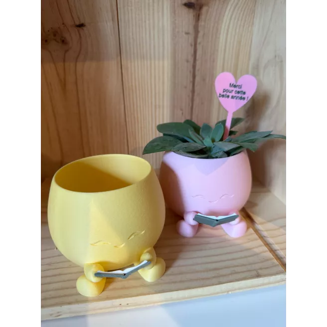 Jardiniere Smiley avec livre