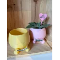 Jardiniere Smiley avec livre