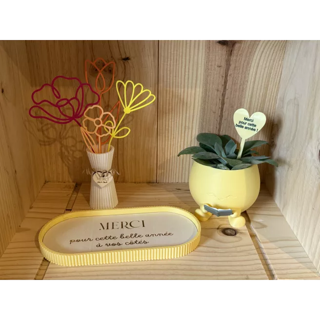 Jardiniere Smiley avec livre