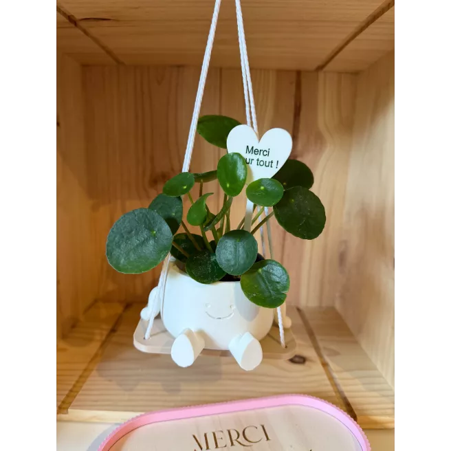 Jardiniere Smiley avec livre