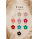 Créole fleurs 