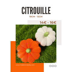 Citrouille décorative lumineuse