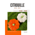Citrouille décorative