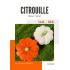 Citrouille décorative