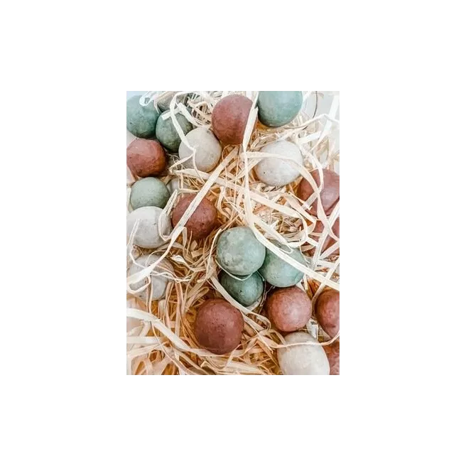 Eprouvette Bombes de fleurs