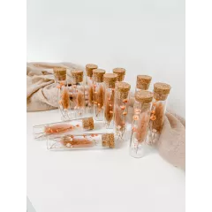 Eprouvette Fleurs sechées Eprouvette Fleurs sechées