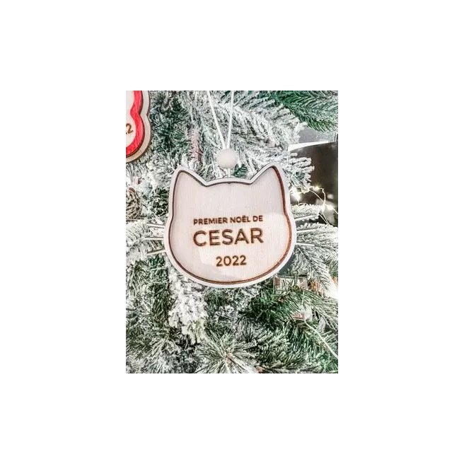 Ornement de Noël Chien ou Chat