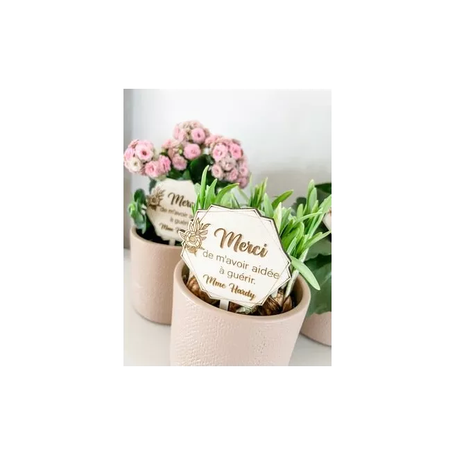 Pic pour Plante personnalisé Pic pour Plante personnalisé